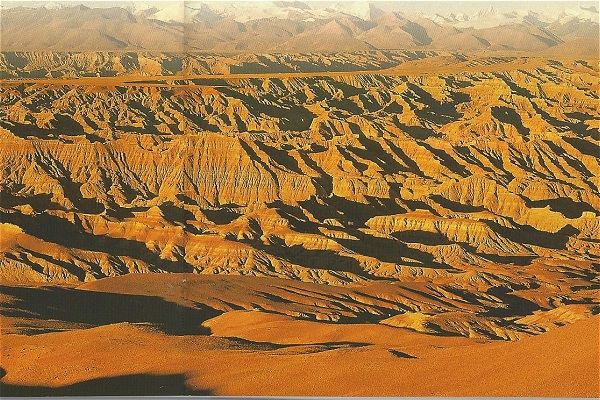 Zanda-Erdwald Zanda-Erdwald