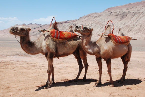 Klassische Seidenstrae