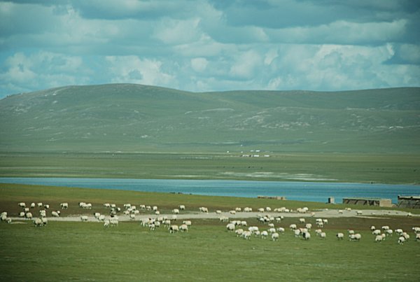 Tibet-Bahn nach Lhasa